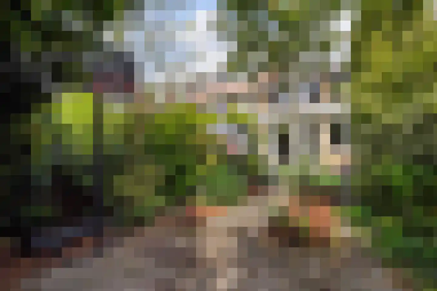 Tuinfluiterlaan 16 Den Haag thumbnail 21