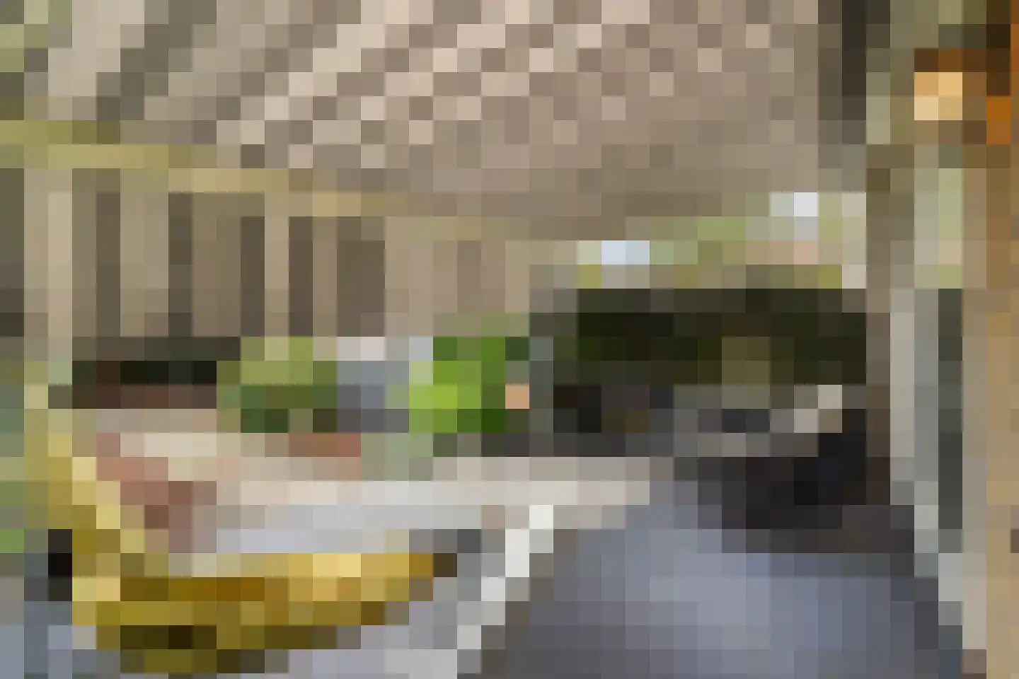 Tuinfluiterlaan 16 Den Haag thumbnail 23