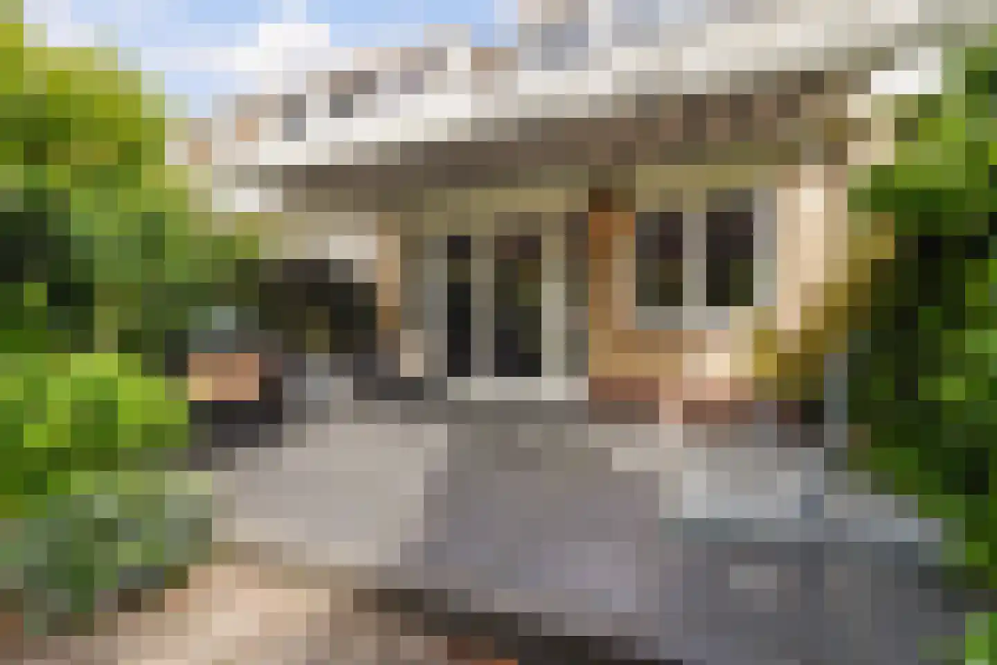 Tuinfluiterlaan 16 Den Haag thumbnail 24