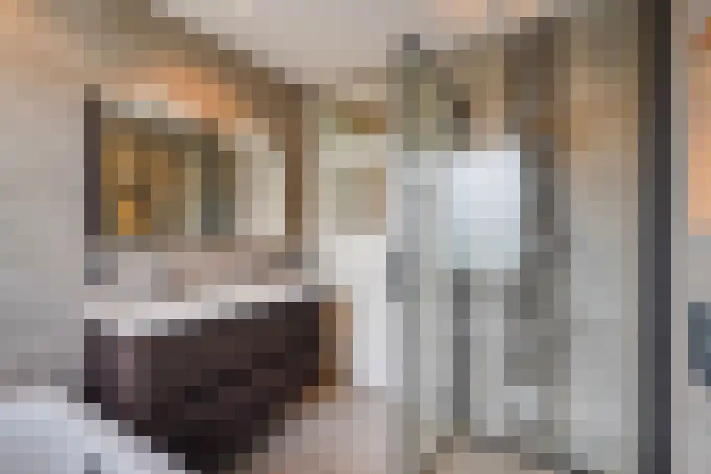 Tuinfluiterlaan 16 Den Haag thumbnail 32