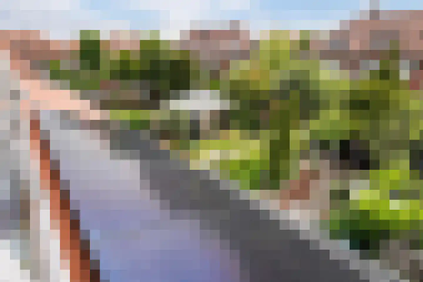 Tuinfluiterlaan 16 Den Haag thumbnail 46