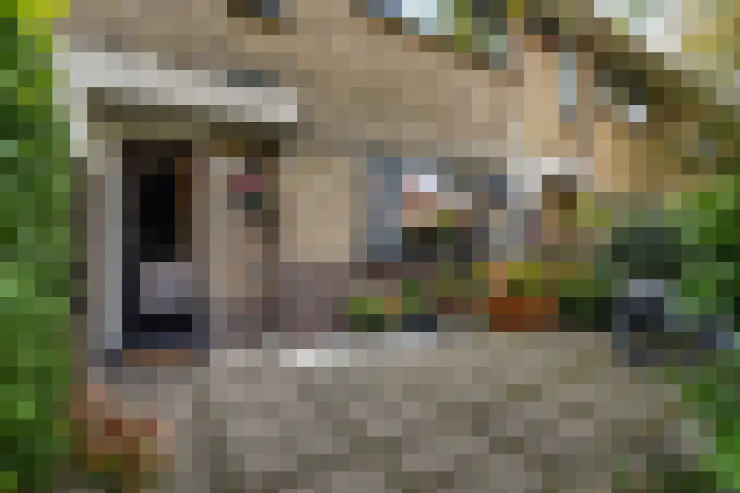 Tuinfluiterlaan 16 Den Haag thumbnail 5