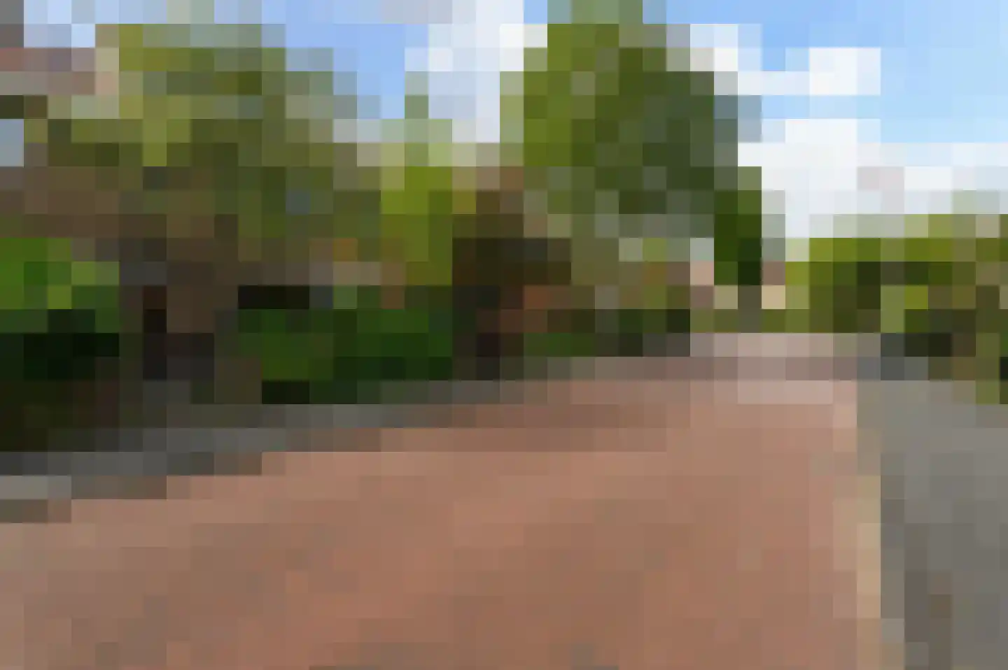 Tuinfluiterlaan 16 Den Haag thumbnail 51