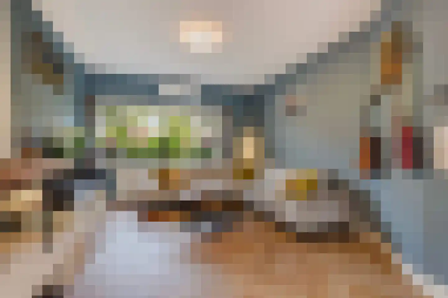 Tuinfluiterlaan 16 Den Haag thumbnail 7