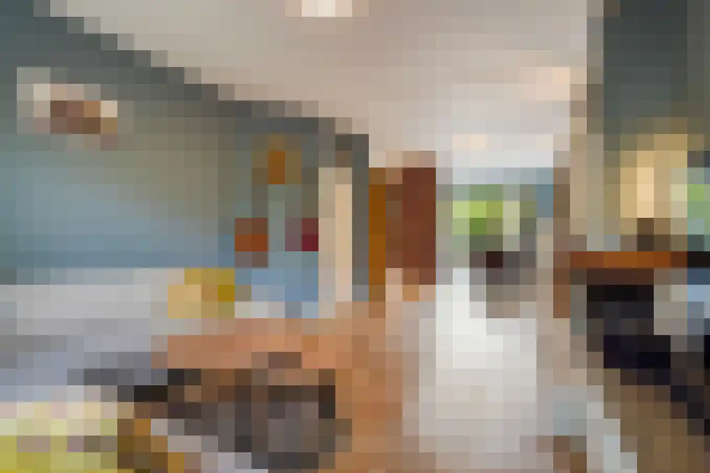 Tuinfluiterlaan 16 Den Haag thumbnail 9