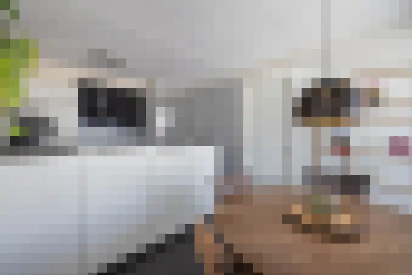 Tuinfluiterstraat 1 Hengelo thumbnail 11
