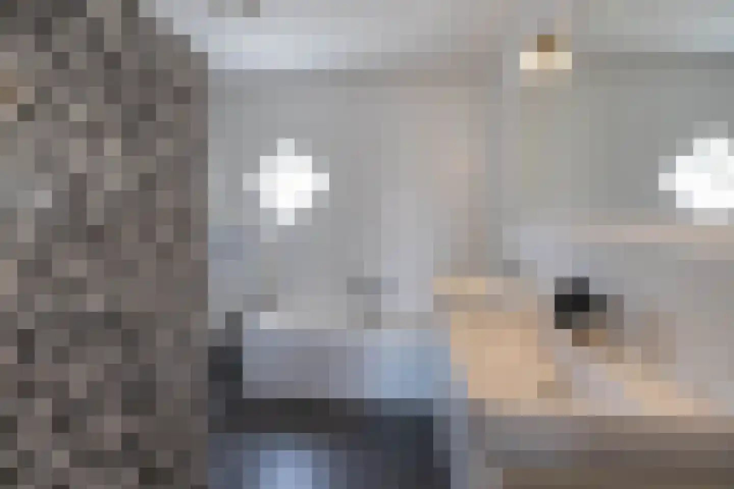 Tuinfluiterstraat 1 Hengelo thumbnail 24