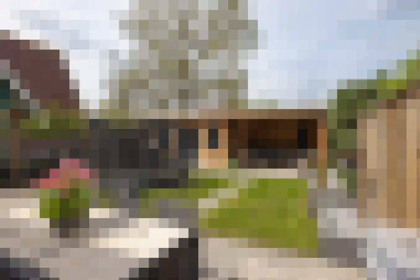 Tuinfluiterstraat 1 Hengelo thumbnail 29