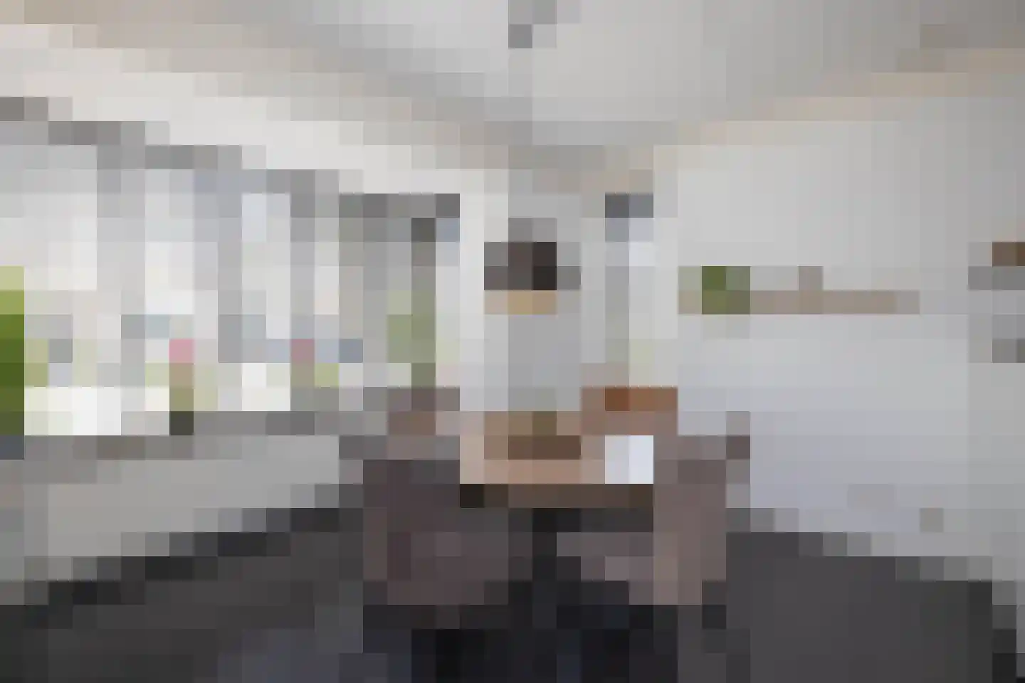 Tuinfluiterstraat 1 Hengelo thumbnail 9