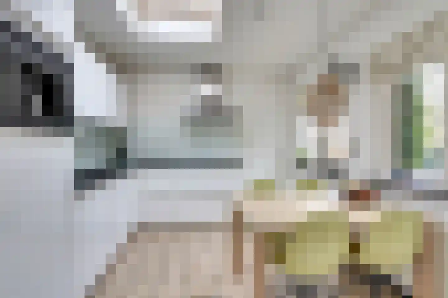 Tuinfluiterstraat 113 Ermelo thumbnail 14