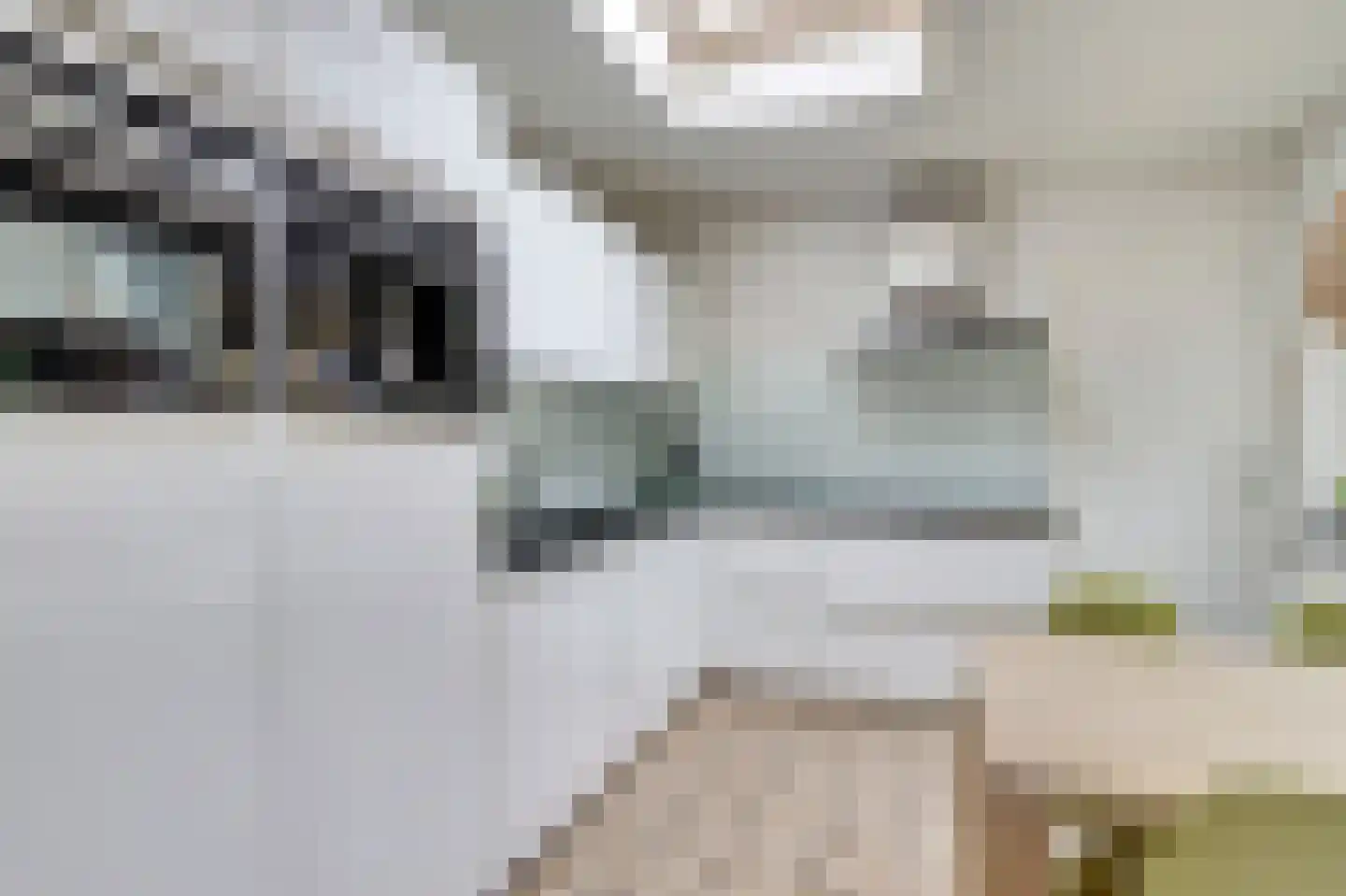 Tuinfluiterstraat 113 Ermelo thumbnail 16