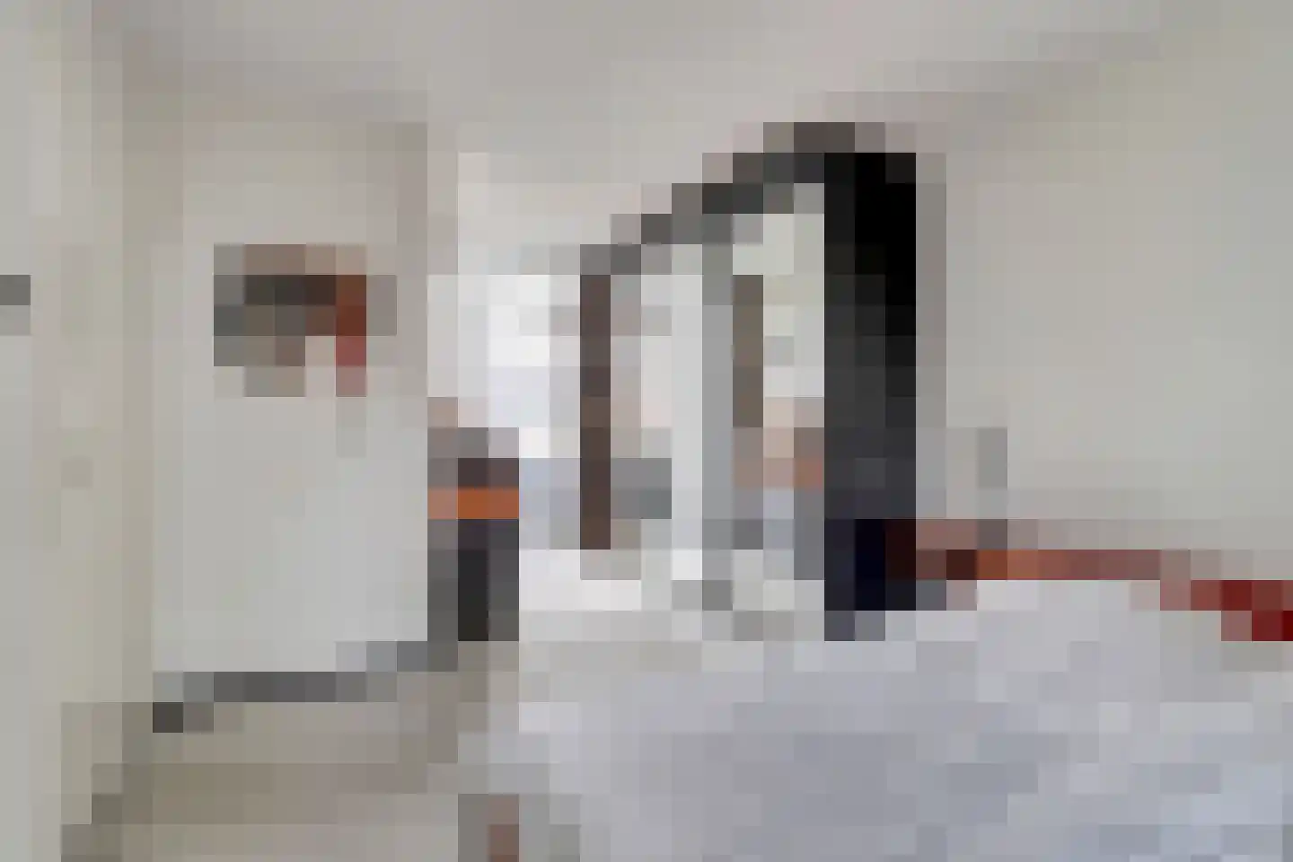 Tuinfluiterstraat 113 Ermelo thumbnail 21