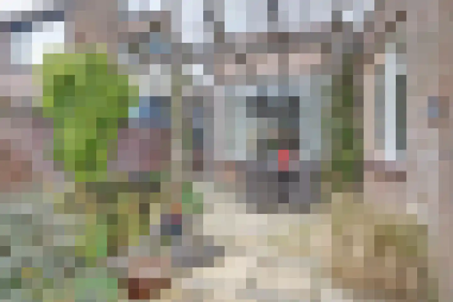 Tuinfluiterstraat 113 Ermelo thumbnail 33