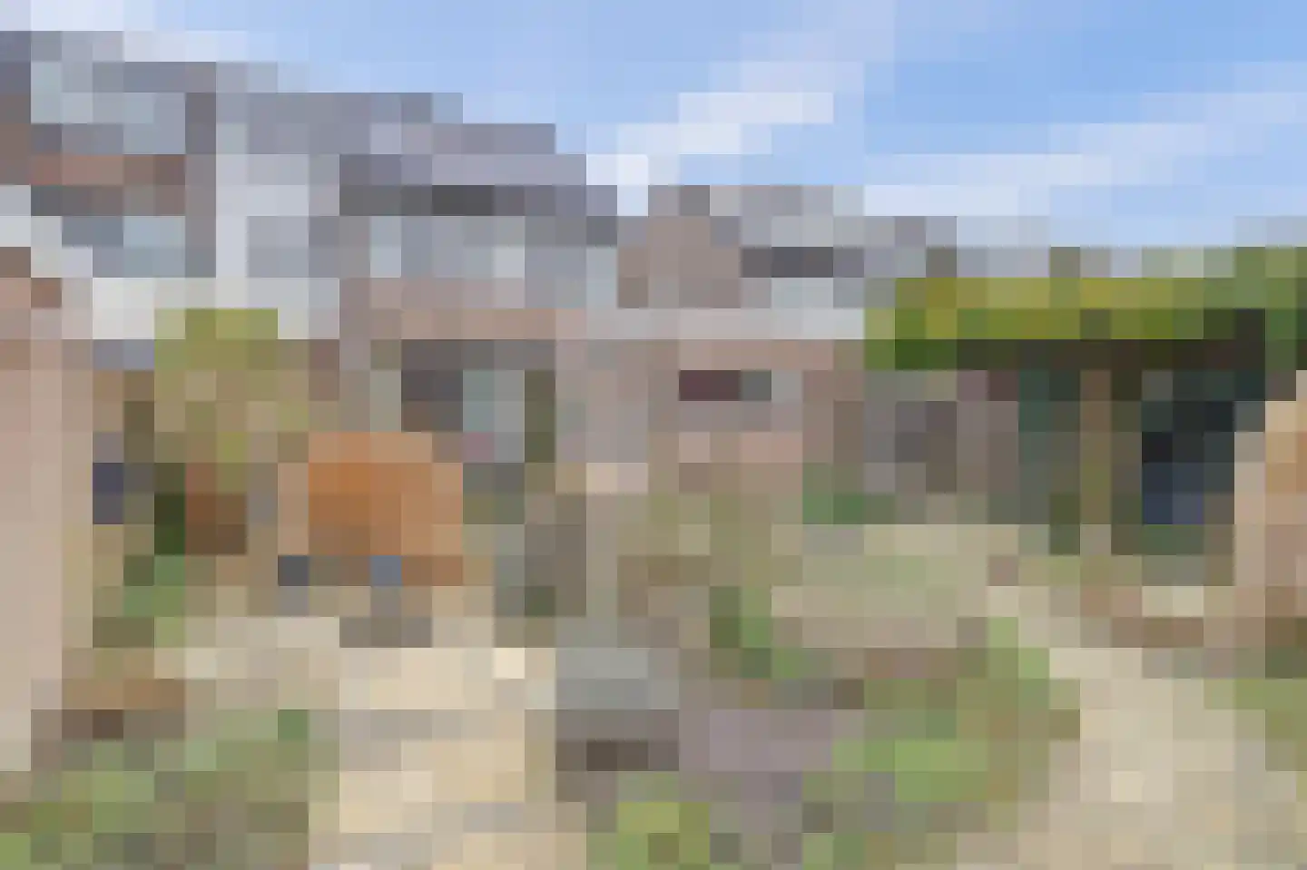 Tuinfluiterstraat 113 Ermelo thumbnail 37