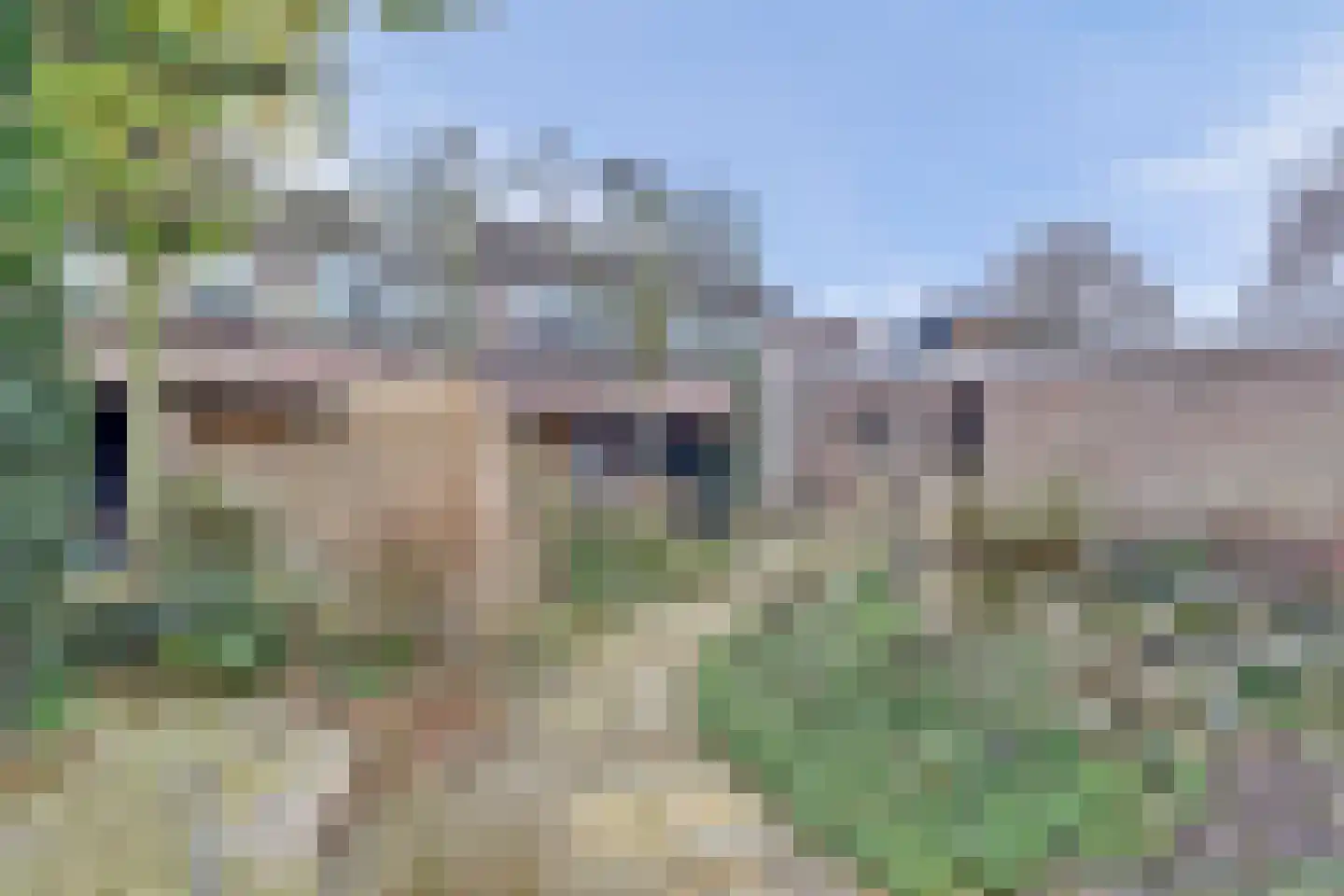 Tuinfluiterstraat 113 Ermelo thumbnail 4