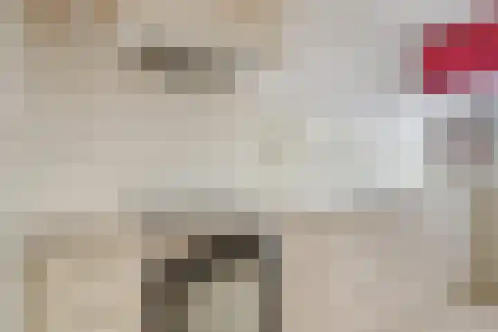 Tuinfluiterstraat 19 Warmenhuizen thumbnail 14