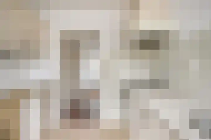 Tuinfluiterstraat 19 Warmenhuizen thumbnail 16