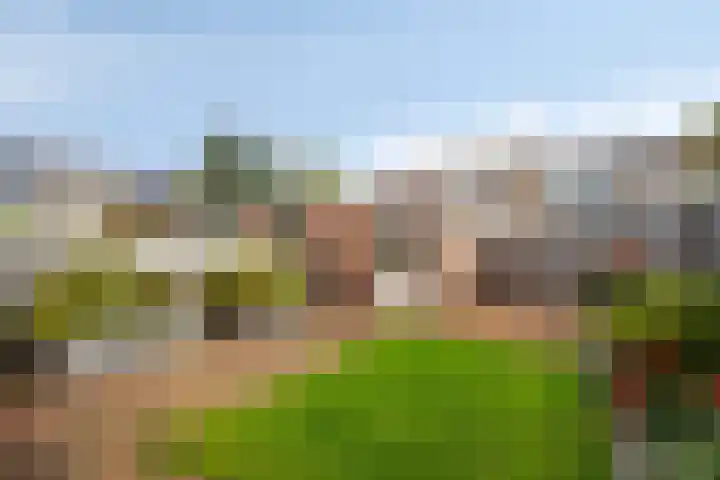 Tuinfluiterstraat 19 Warmenhuizen thumbnail 29