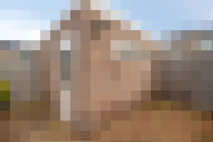 Tuinfluiterstraat 19 Warmenhuizen thumbnail 32