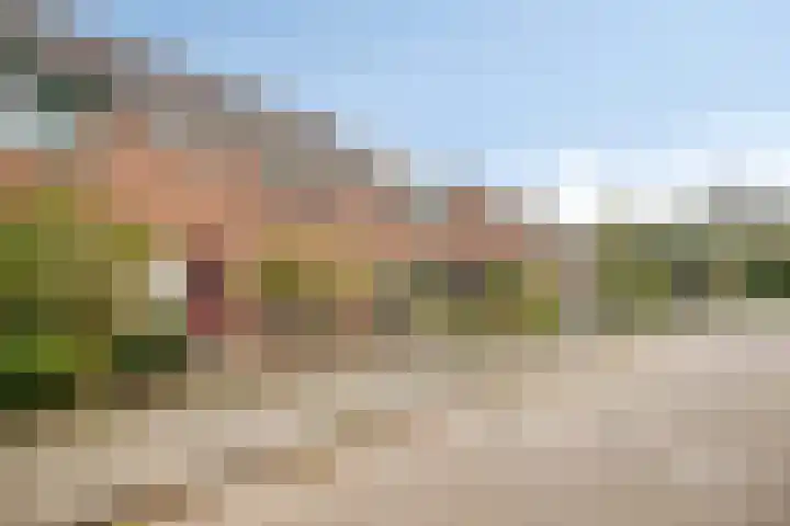 Tuinfluiterstraat 19 Warmenhuizen thumbnail 5