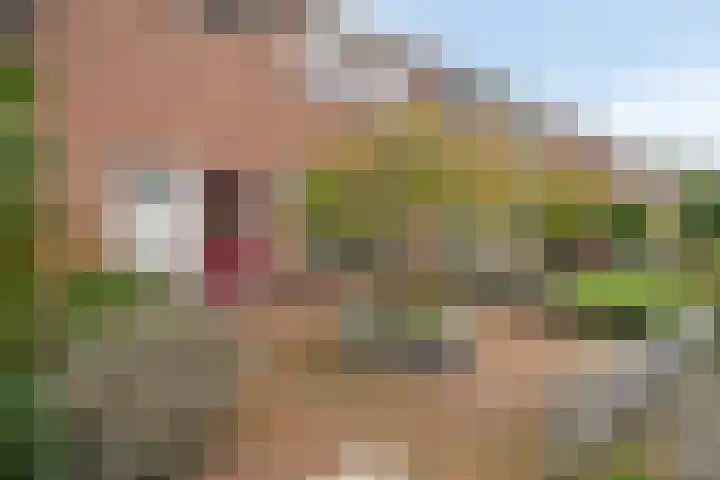 Tuinfluiterstraat 19 Warmenhuizen thumbnail 7