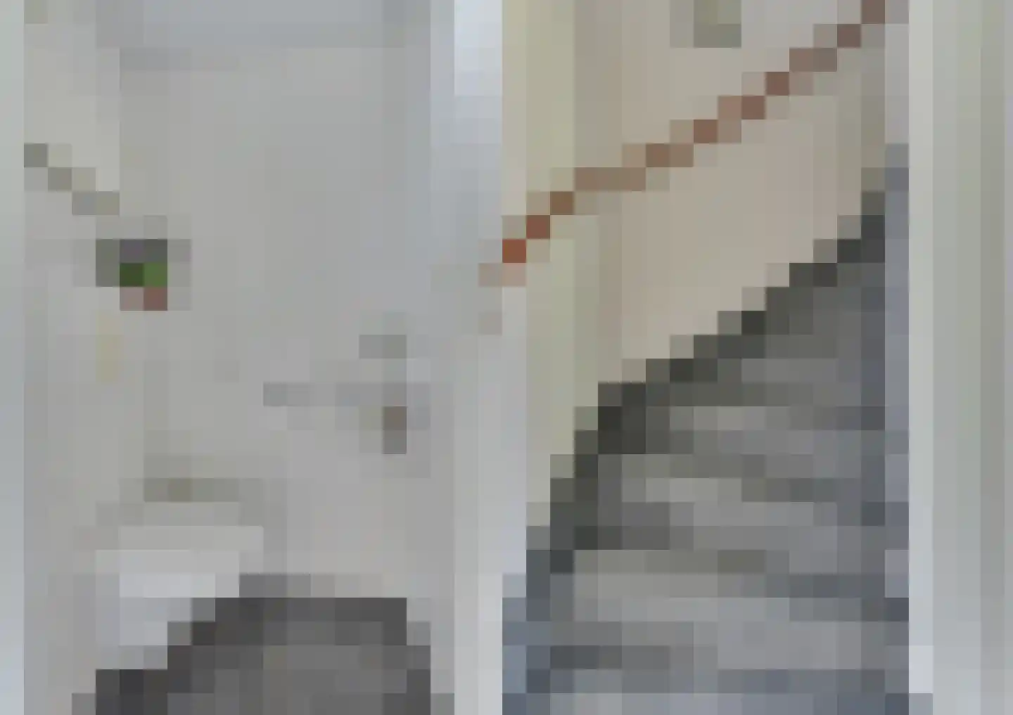 Tuinfluiterstraat 2 Warmenhuizen thumbnail 25