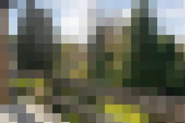 Tuinfluiterstraat 41 Ommen thumbnail 26