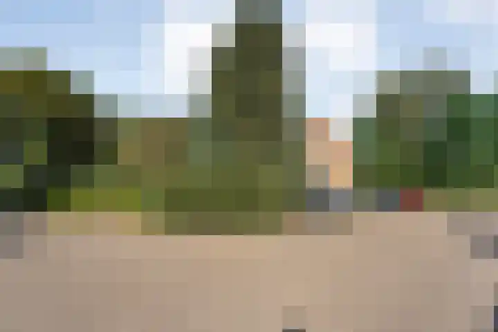 Tuinfluiterstraat 41 Ommen thumbnail 36