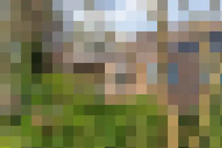 Tuinfluiterstraat 41 Ommen thumbnail 37