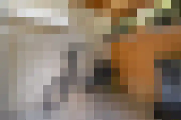 Tuinfluiterstraat 41 Ommen thumbnail 39
