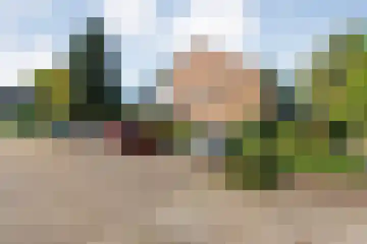 Tuinfluiterstraat 41 Ommen thumbnail 5