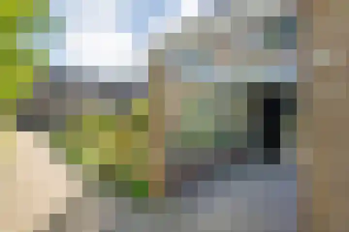 Tuinfluiterstraat 41 Ommen thumbnail 7