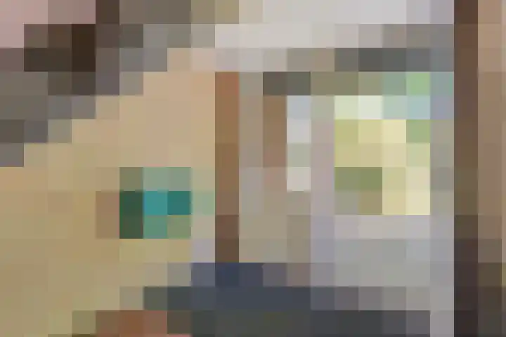 Tuinfluiterstraat 41 Ommen thumbnail 8