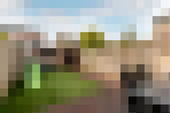 Tuinfluiterstraat 79 Ermelo thumbnail 31