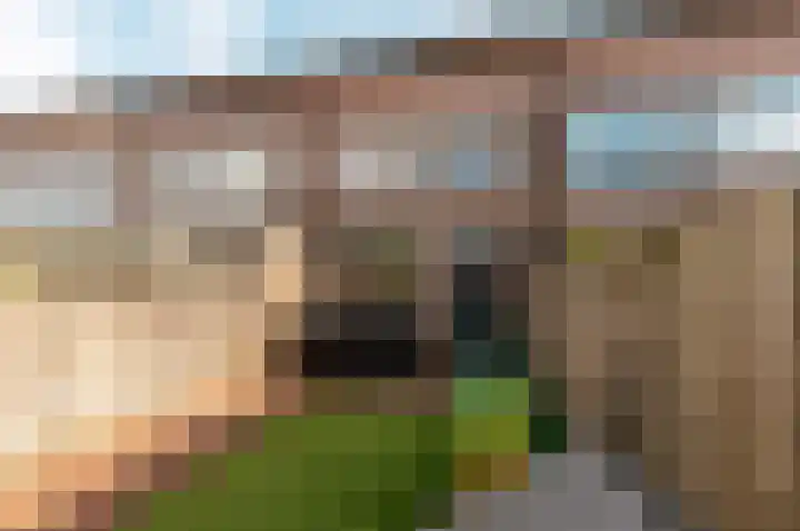 Tuinfluiterstraat 79 Ermelo thumbnail 34