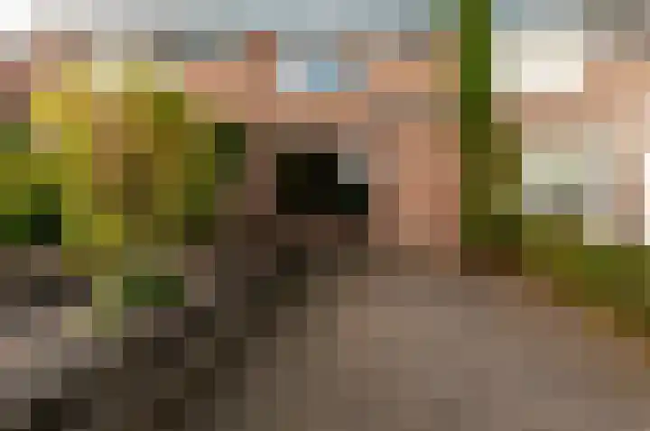 Tuinfluiterstraat 79 Ermelo thumbnail 35