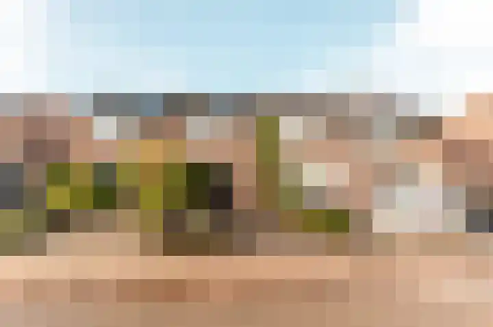 Tuinfluiterstraat 79 Ermelo thumbnail 36