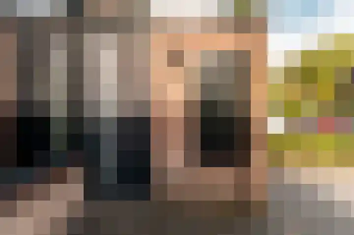 Tuinfluiterstraat 79 Ermelo thumbnail 37