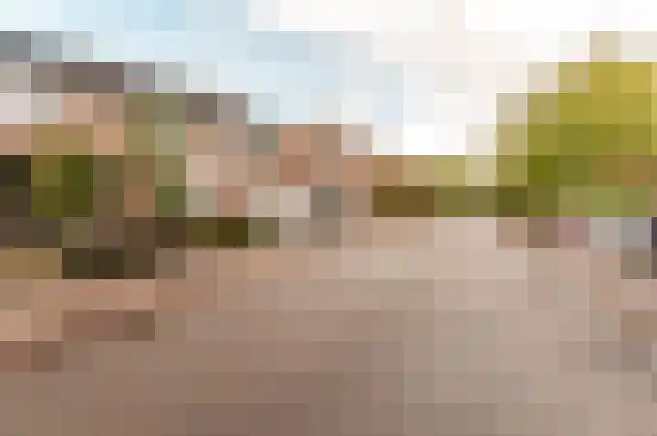 Tuinfluiterstraat 79 Ermelo thumbnail 39