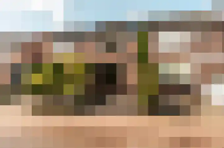 Tuinfluiterstraat 79 Ermelo thumbnail 7