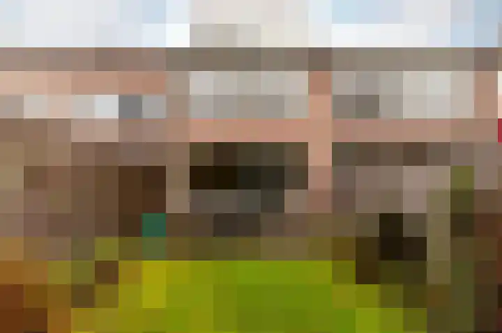 Tuinfluiterstraat 8 Ermelo thumbnail 30