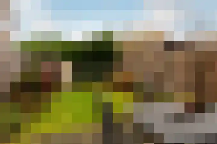 Tuinfluiterstraat 8 Ermelo thumbnail 32