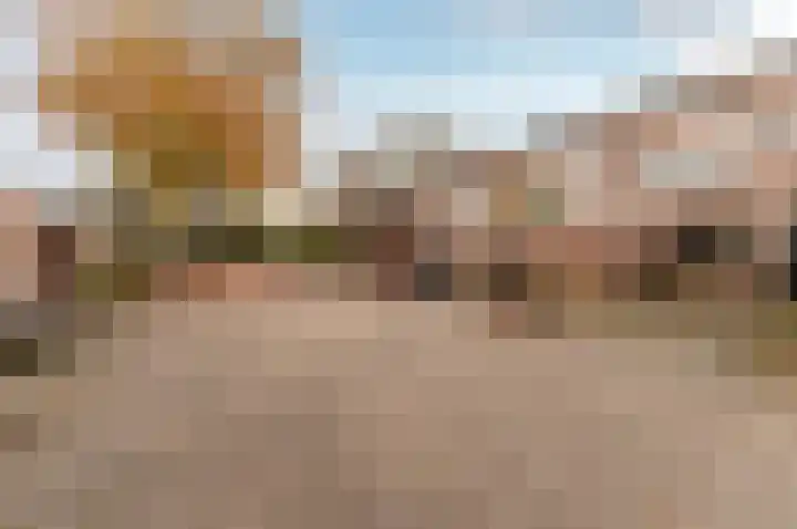Tuinfluiterstraat 8 Ermelo thumbnail 34