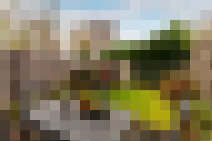 Tuinfluiterstraat 8 Ermelo thumbnail 6