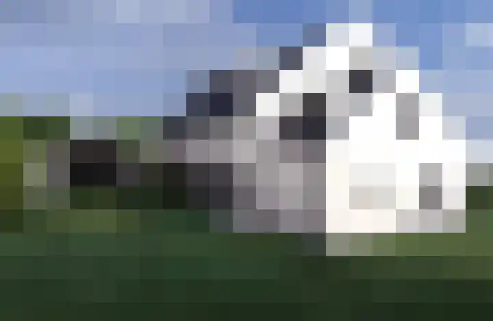 Tuinfluiterweg 7 Geldermalsen thumbnail 6