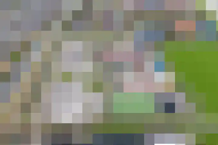 Tuingracht 34 De Rijp thumbnail 13
