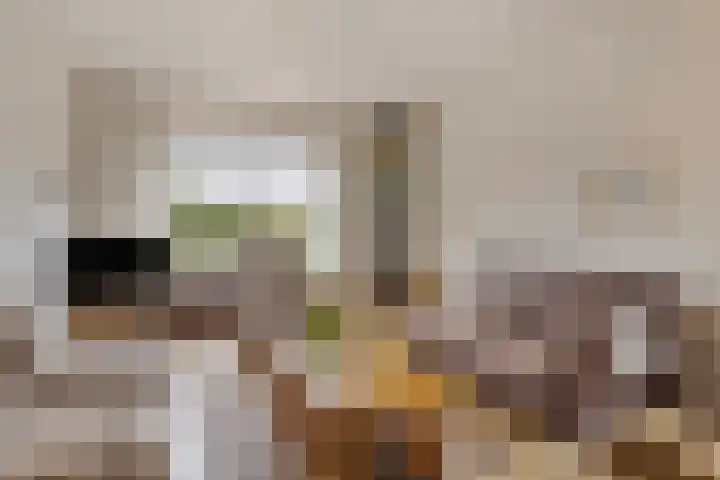 Tuinhaversveld 3 Grubbenvorst thumbnail 10