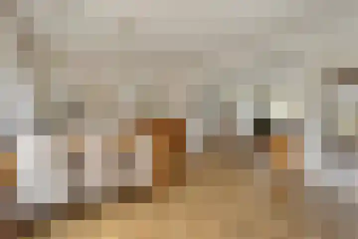 Tuinhaversveld 3 Grubbenvorst thumbnail 15