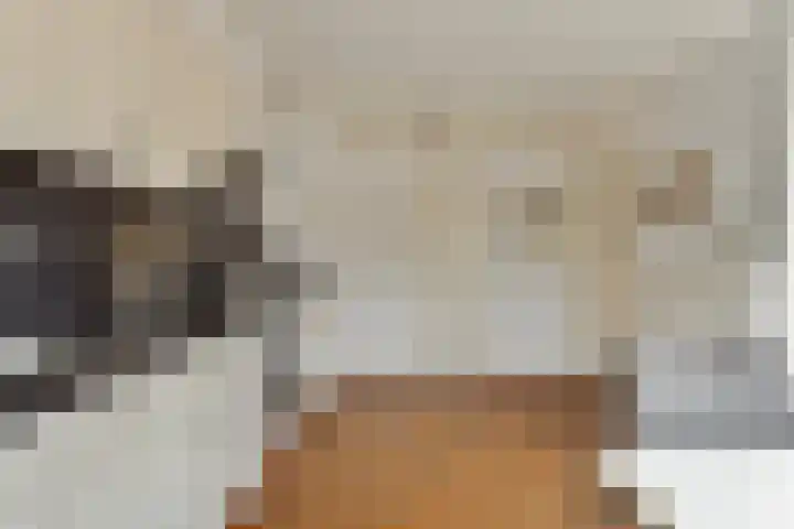 Tuinhaversveld 3 Grubbenvorst thumbnail 20