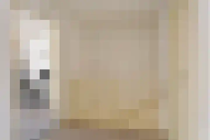 Tuinhaversveld 3 Grubbenvorst thumbnail 21